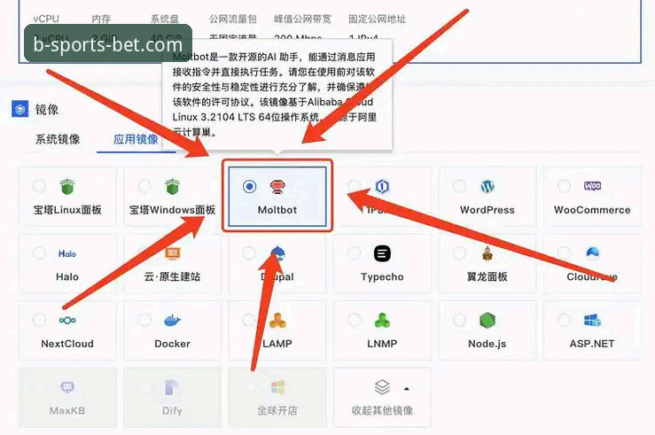 BSports安装步骤最新进展：2025年正版平台接入全指南